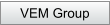 VEM Group