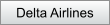 Delta Airlines